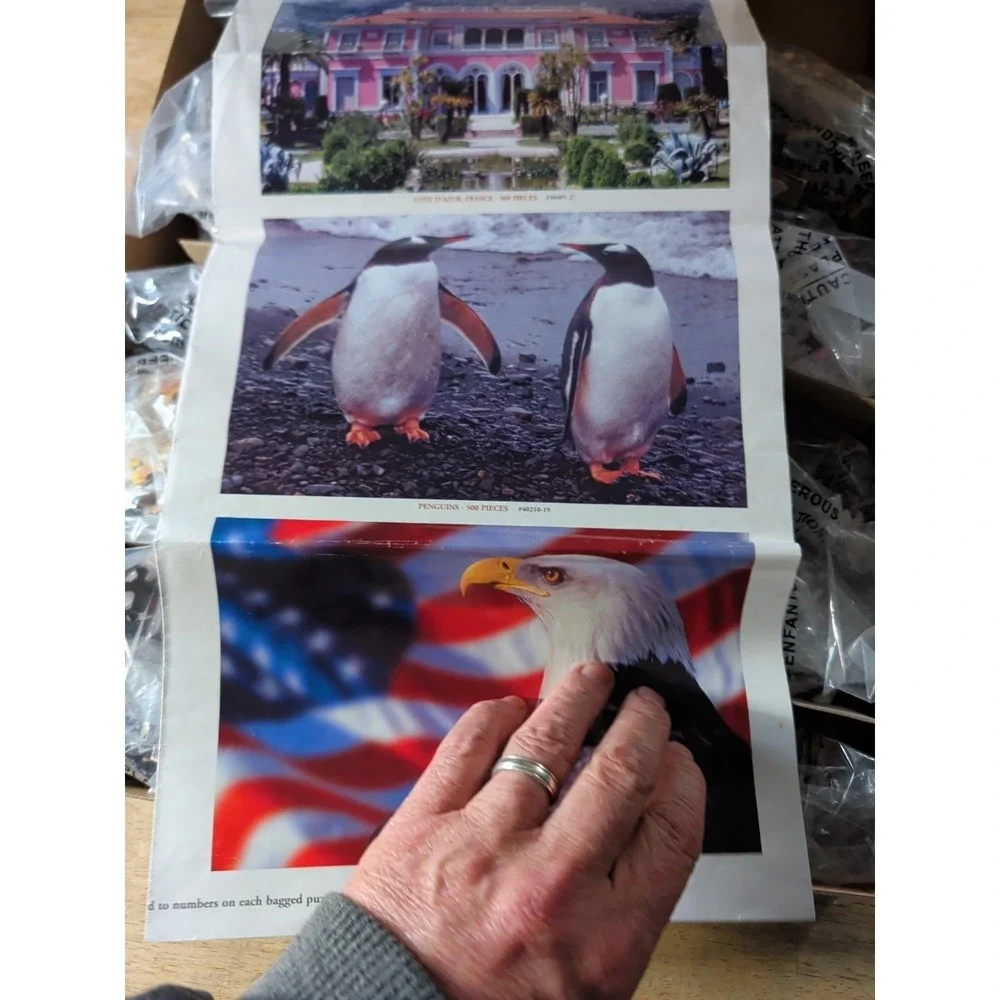 Sure-Lox 10‎ Deluxe Full Size Jigsaw Puzzles 6750 Total Pieces
